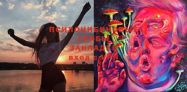 спиды Алзамай