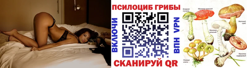 Псилоцибиновые грибы MAGIC MUSHROOMS  купить наркотики сайты  Бийск 