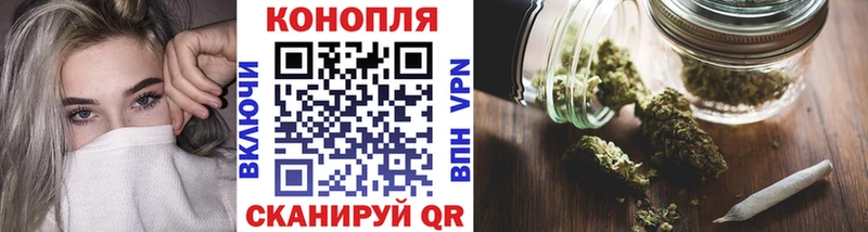 Каннабис ГИДРОПОН  продажа наркотиков  Бийск 